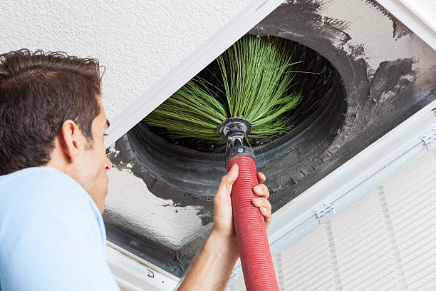 Best Dryer Vent Cleaning Services  in St Johns, AZ